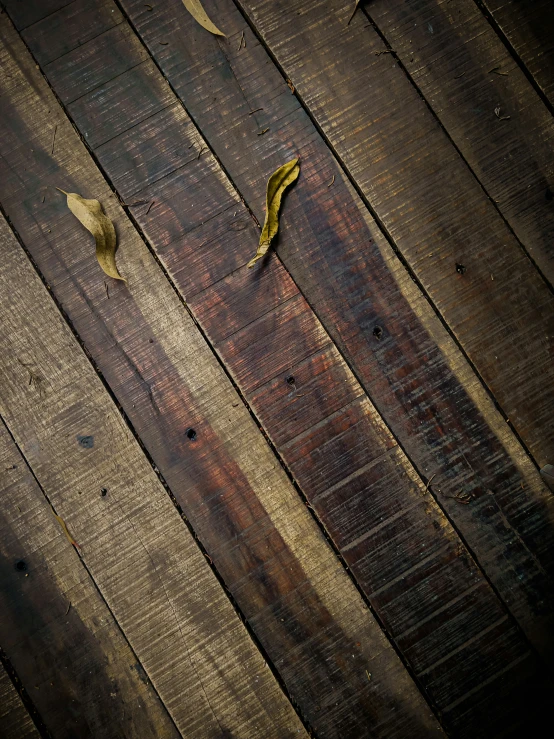 two pieces of leaves on wood with stain