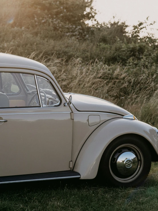 a white beetle is parked in a grassy field
