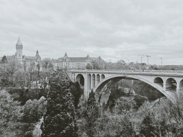 a long bridge on a hill with lots of trees