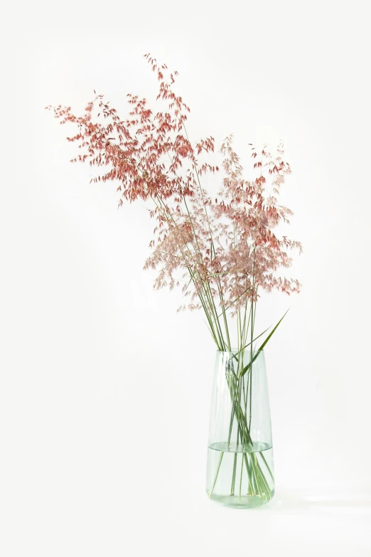 a close up of a vase on a white background