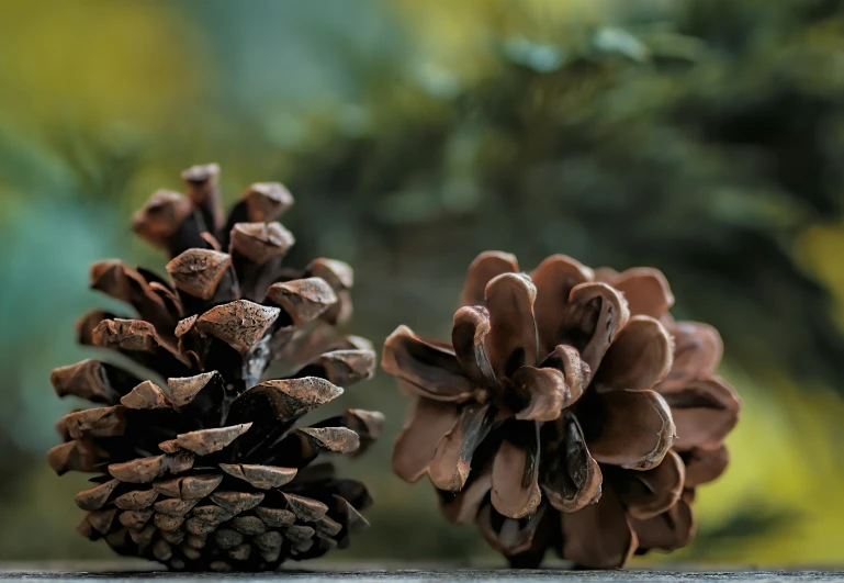 two very large cones that are sitting on a table