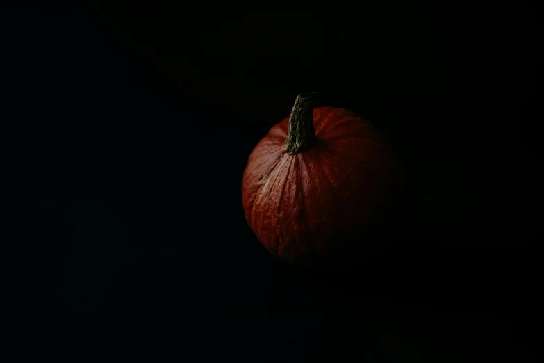 a small orange is sitting in the dark