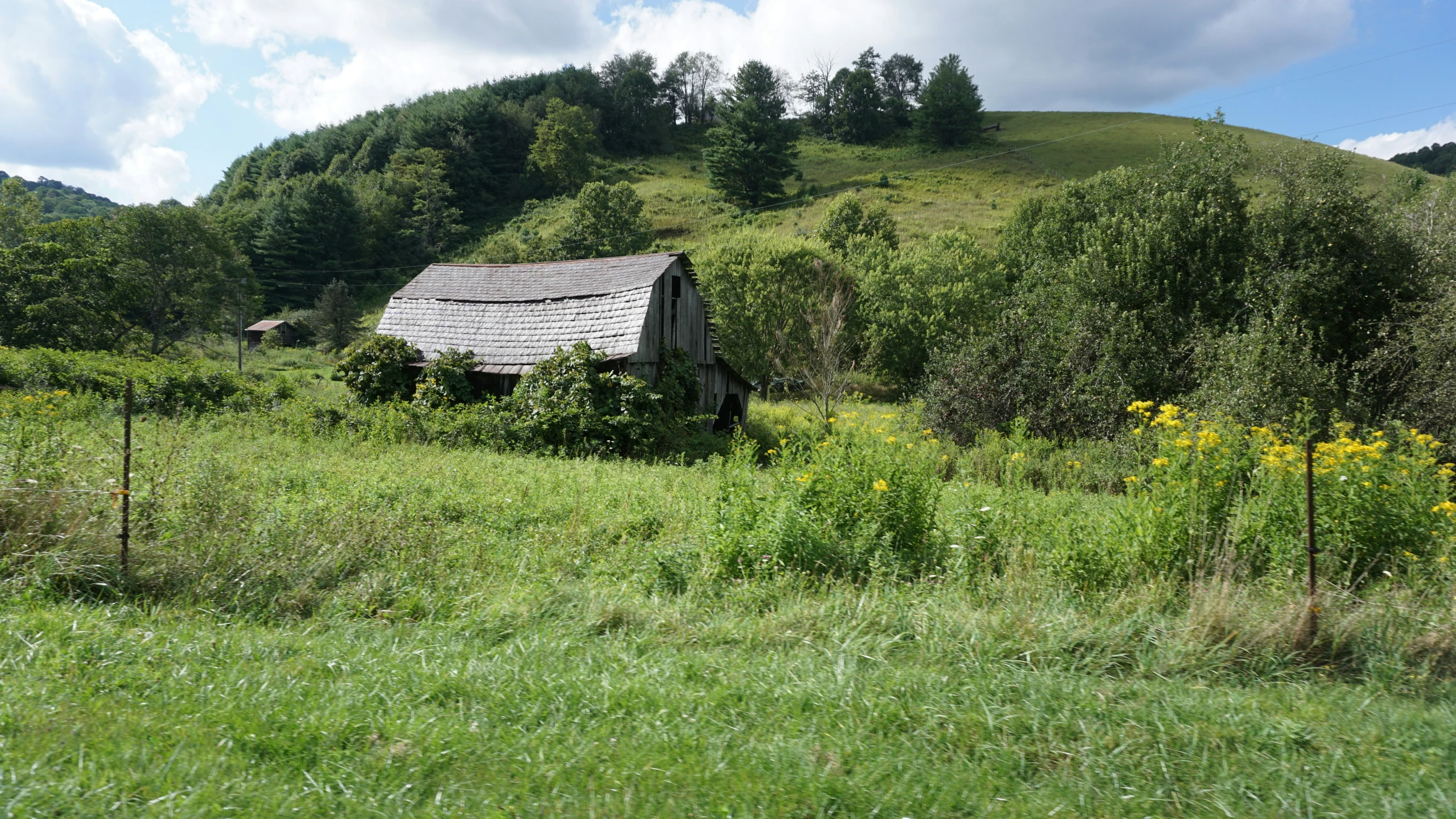 a barn and some flowers and trees