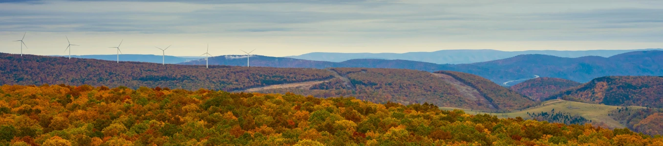 a hill covered in lots of different trees with wind mills near the top