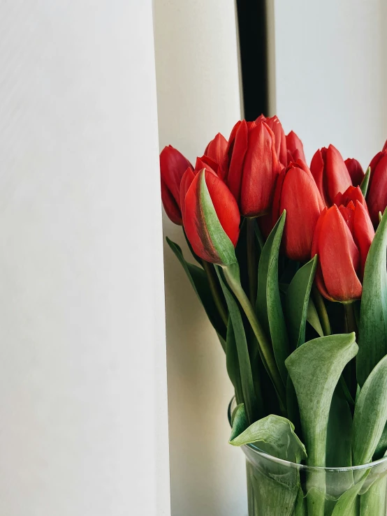 a glass filled with red flowers sitting next to a wall