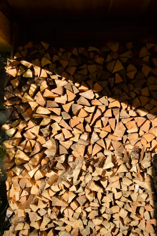 wood is piled up to be cut and prepared