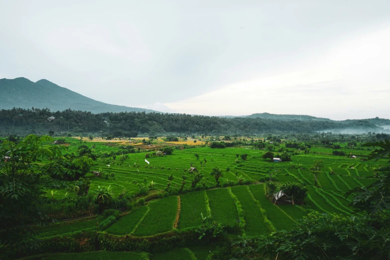 there is a large field in the middle of the mountains