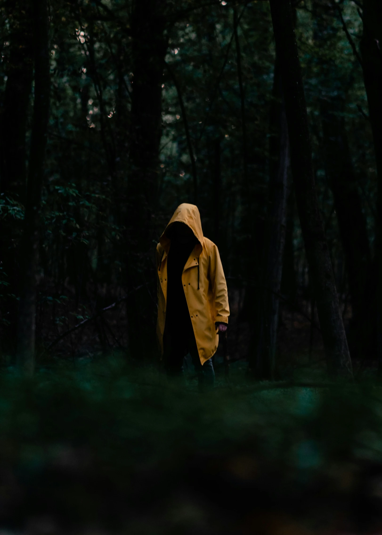 a man with a hood on walking through the woods