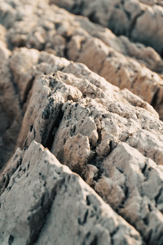 the rocky terrain is very large, yet dry