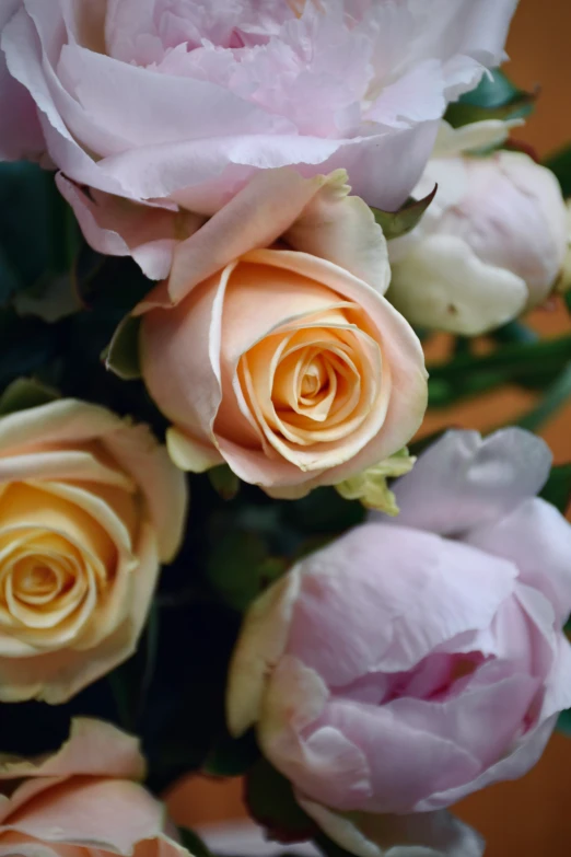 the flowers are pale and pink against a yellow background