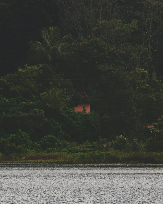 the house is located between the trees and the water