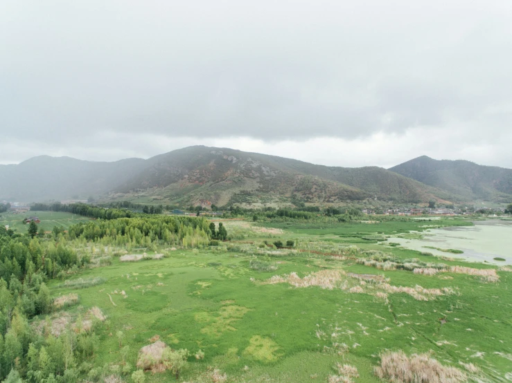 a grassy field on the side of a river