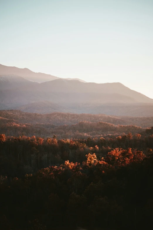 mountains and trees on the horizon with the sun setting