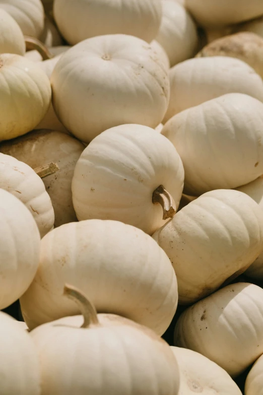 a group of white gourds with a few heads and a piece of broccoli in the middle