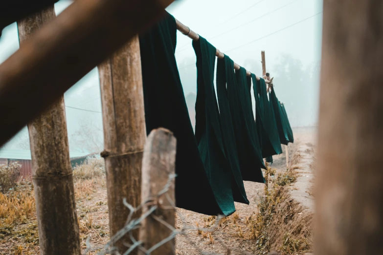 a couple of green clothes are on a wire fence