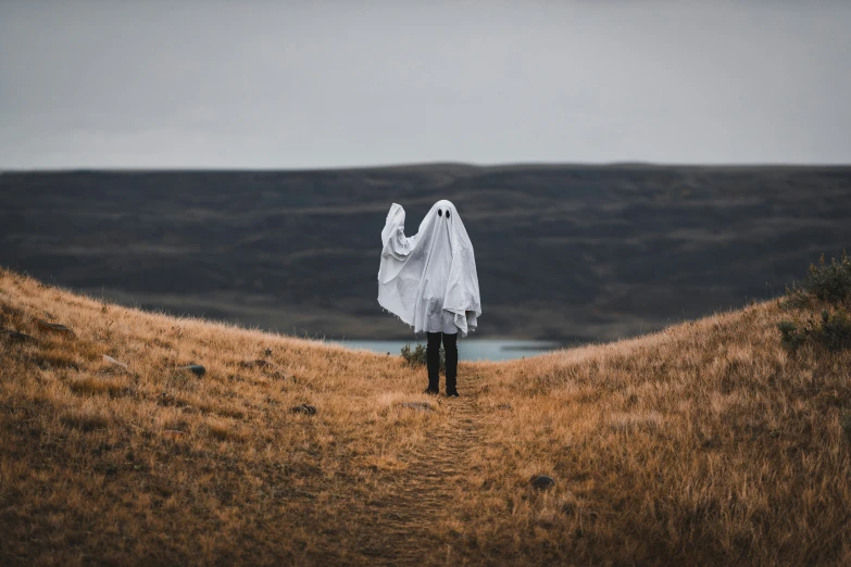 a person dressed as a ghost is walking away from the camera