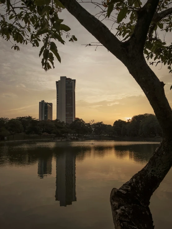 a tall building reflected in water at sunset