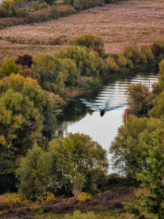 a motor boat traveling down the river in a park area