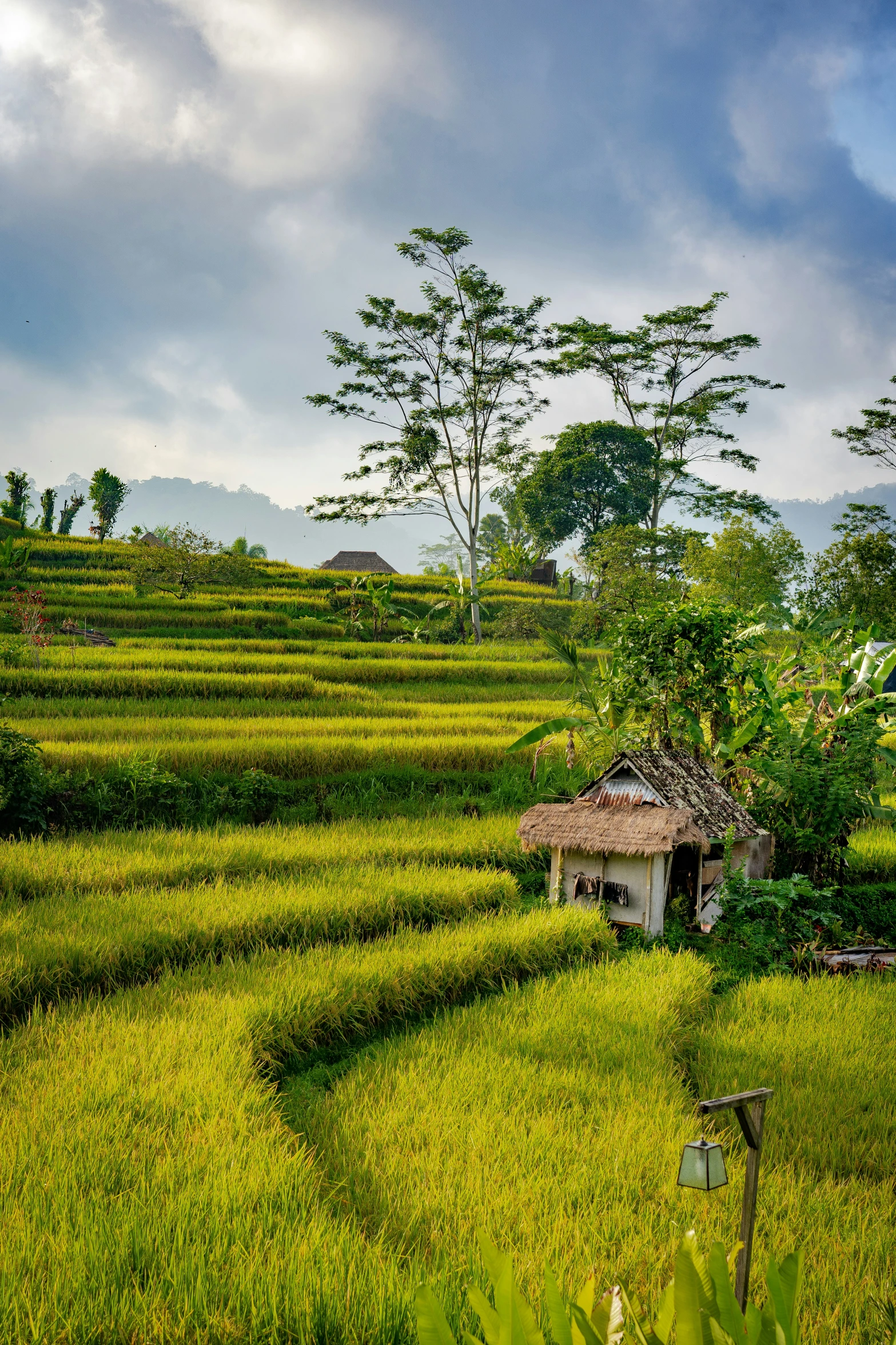 a hut is sitting in the middle of a field of green