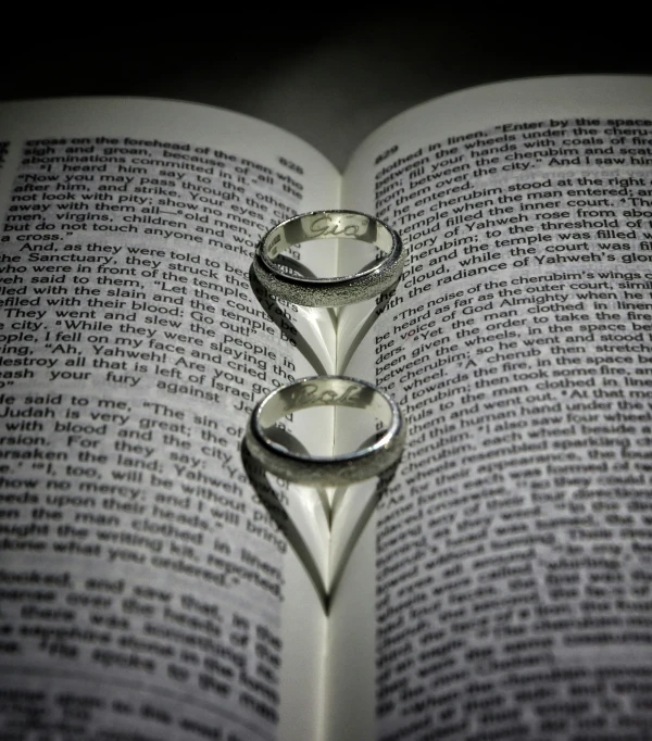 a pair of rings is in an open book