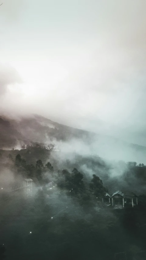 black and white po of trees with the fog in the air