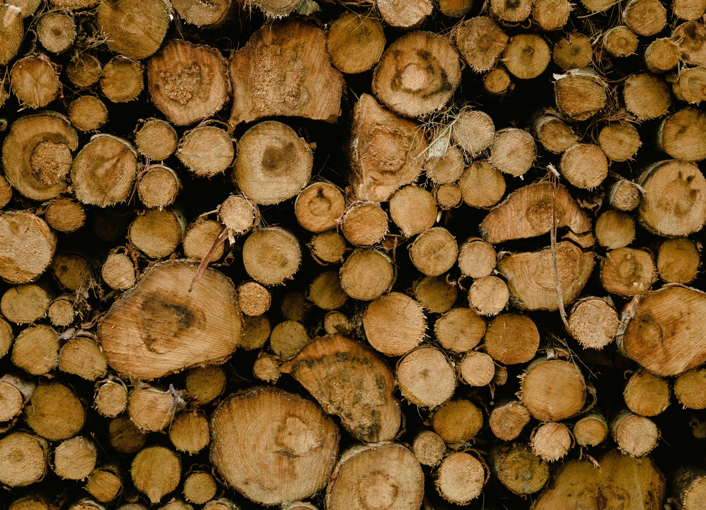 a close up of wood logs stacked on top of each other