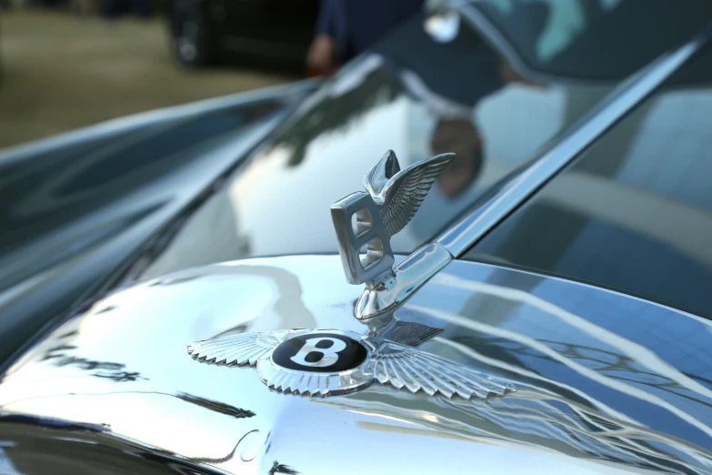close up of the emblem on a shiny silver car