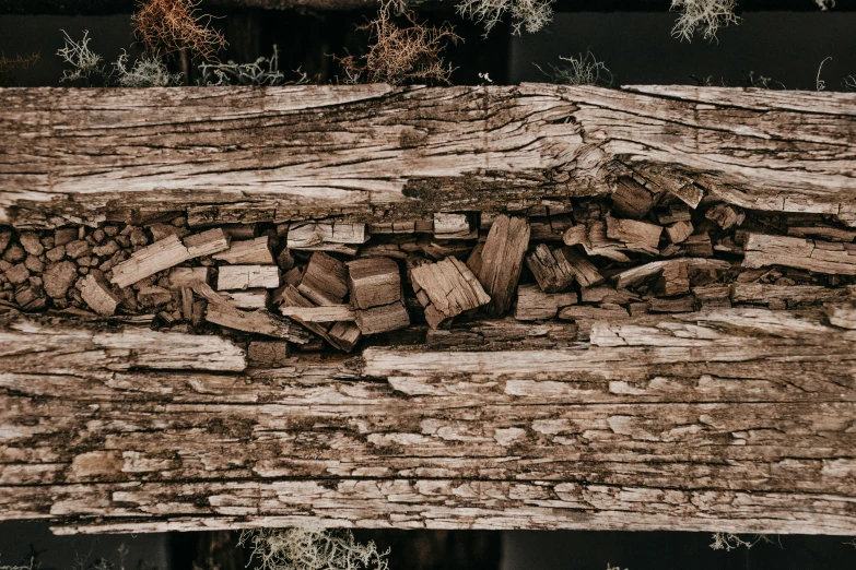 a log on top of a pile of wood