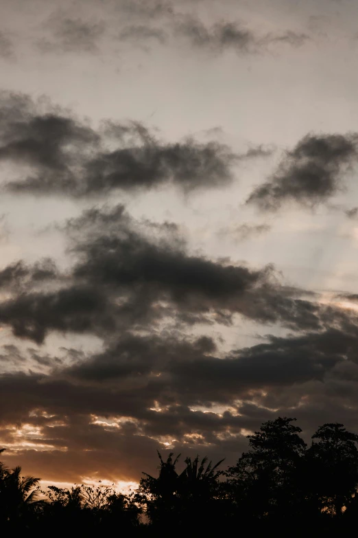 an airplane flies through a cloudy sky with dark trees in the foreground