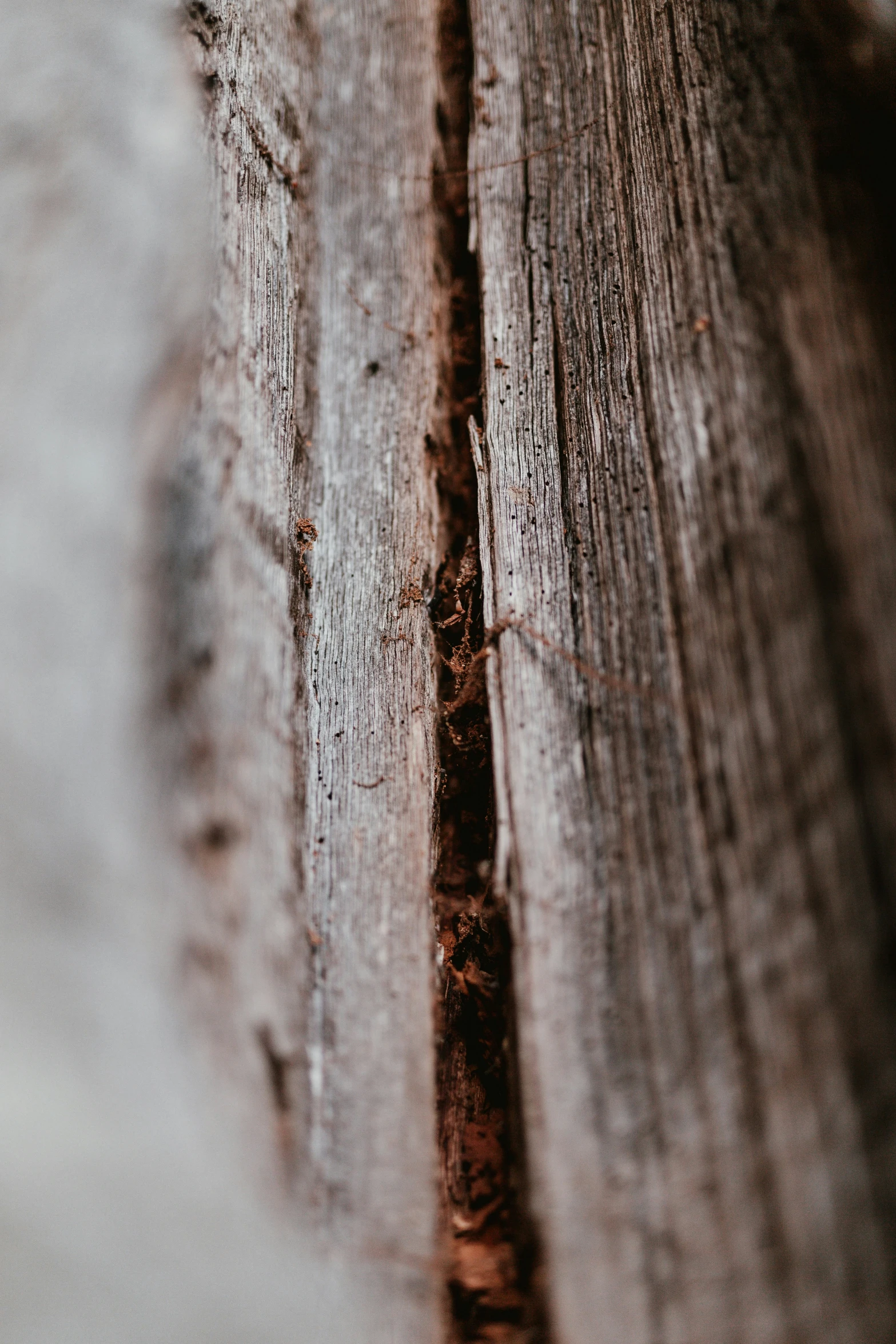 a wooden fence that is falling apart