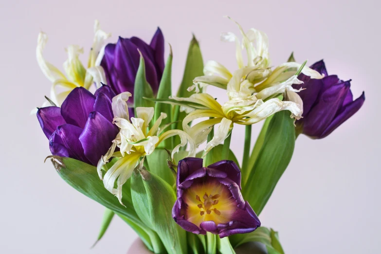 a vase that has flowers in it