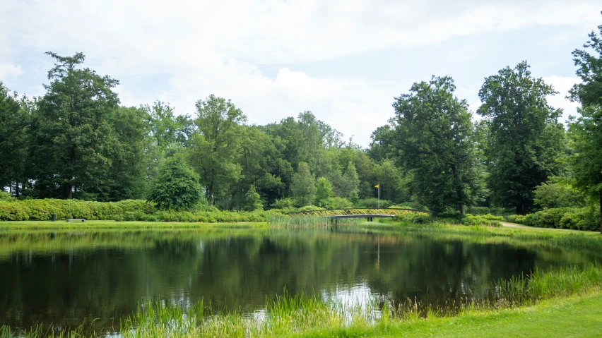 a pond surrounded by trees near a forest