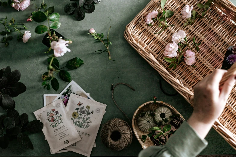 a person's hands reaching down on small flowers and papers