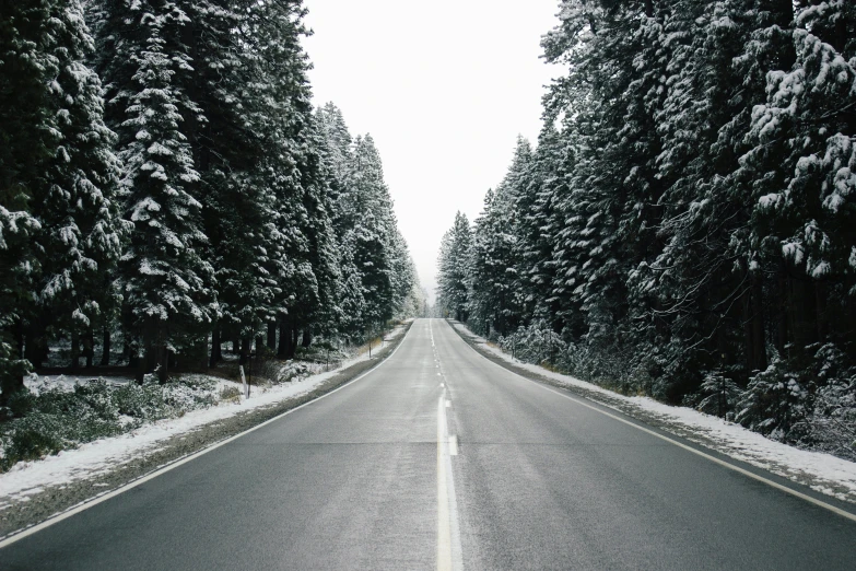 a car traveling down a snowy road next to tall trees