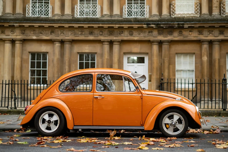 a small car that is on some leaves