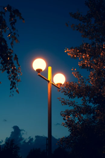 street lamp in city at night with trees