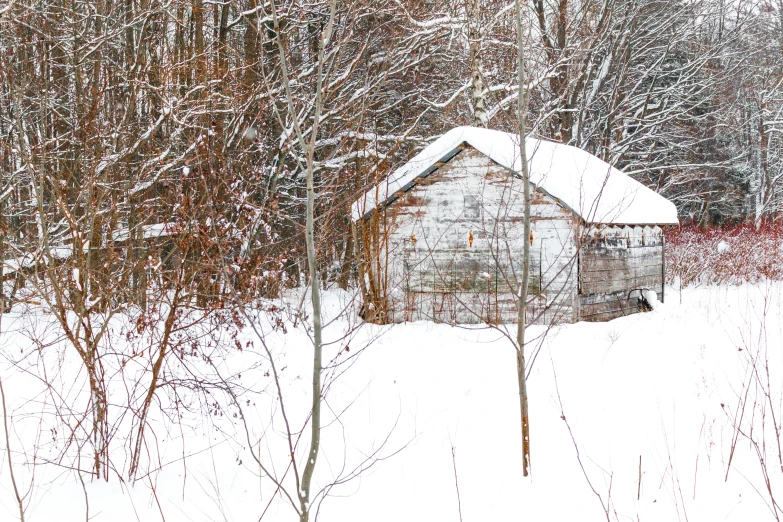 a white barn and tree in winter with a snow covered field