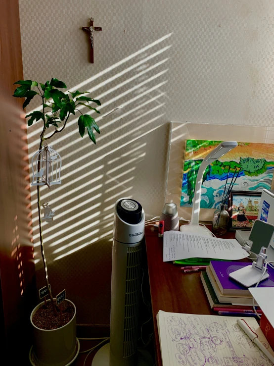 a small potted plant sits on the edge of a cluttered desk