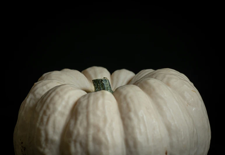 white pumpkin with a green ring sitting inside it