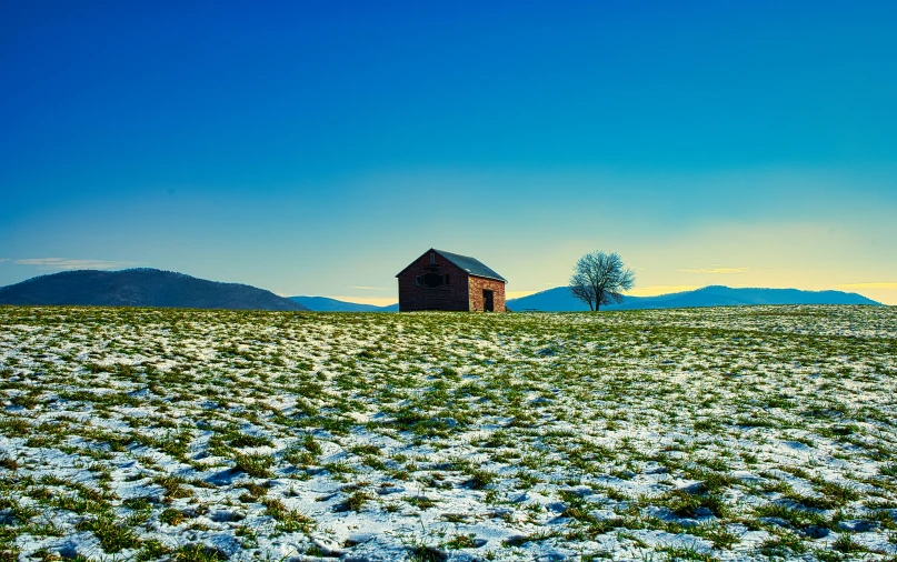 some grass a tree snow bushes and a red building