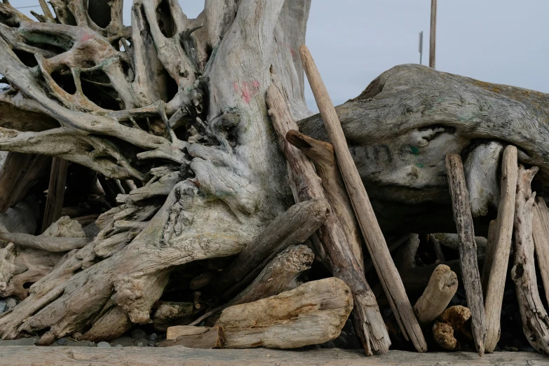 several wooden nches on the ground covered in sand