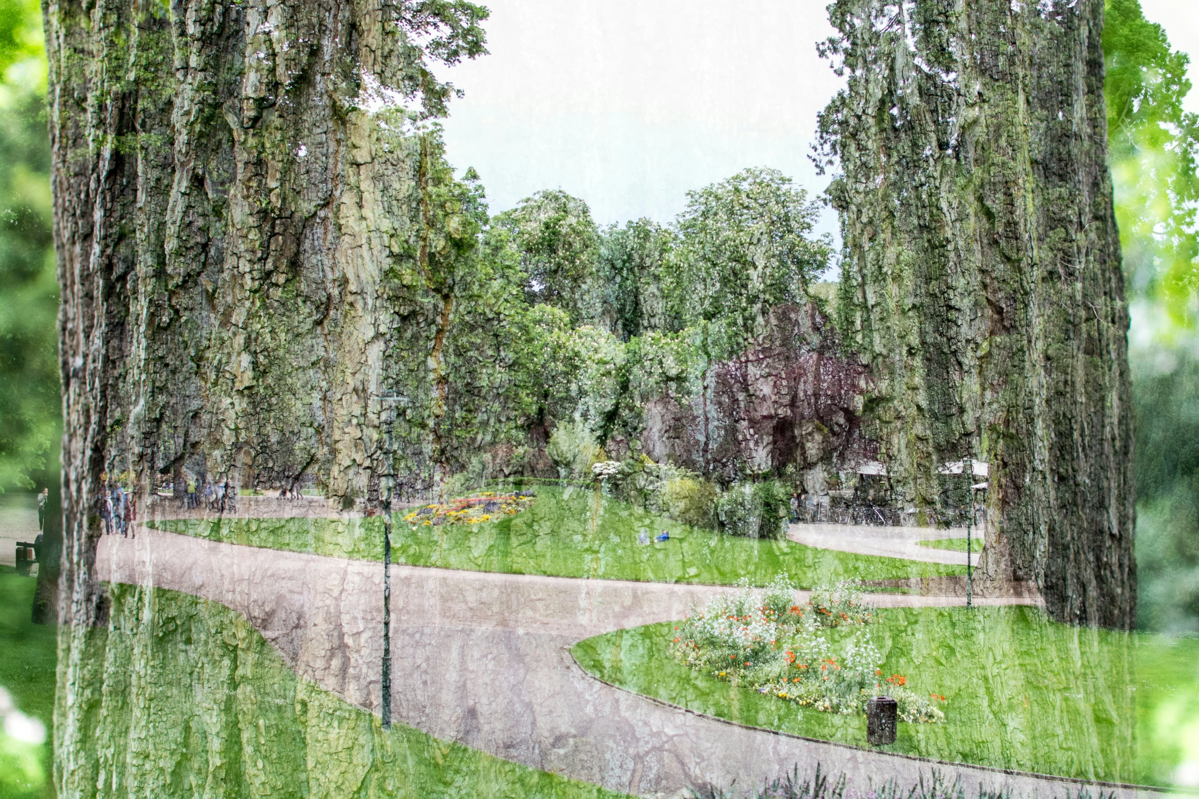 the park with many trees and plants next to a river