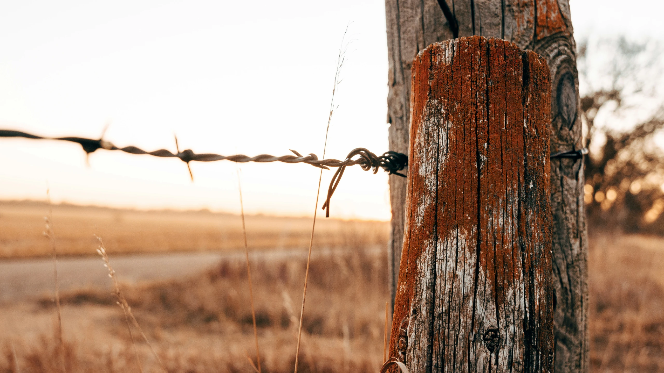 a wooden fence in a field of grass