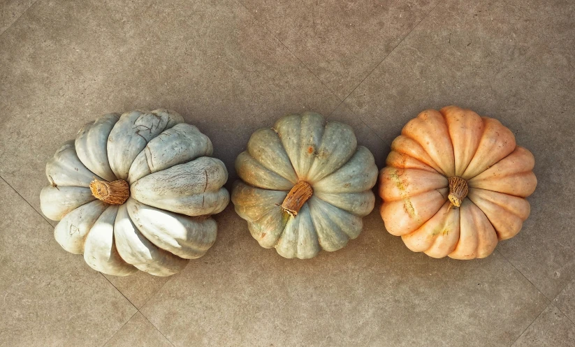 three pumpkins are placed next to each other on the ground