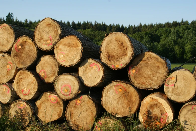 this pile of logs shows the length of those logs