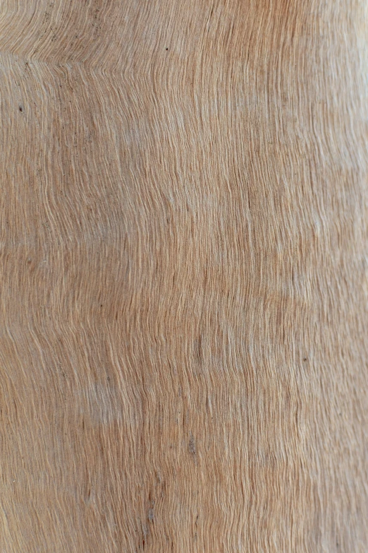 wood looking surface with white spots from the  board