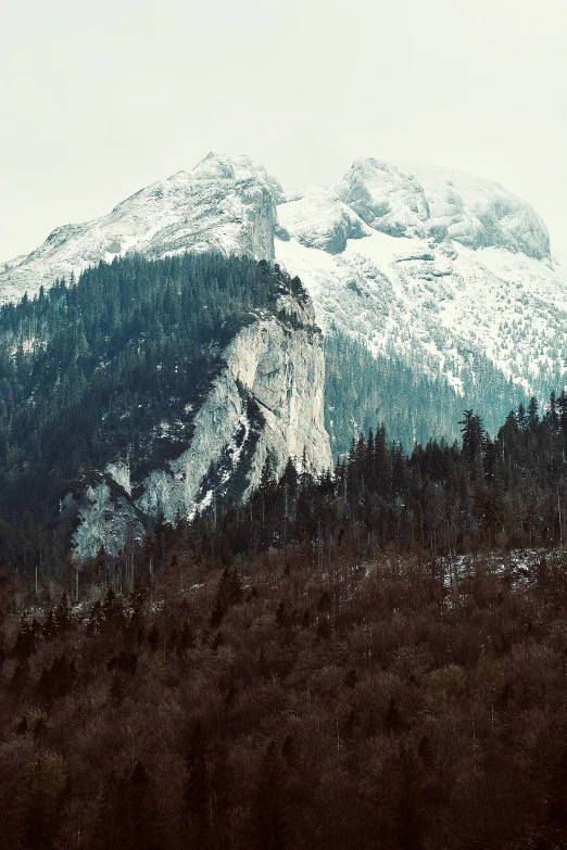 a snowy mountain side with some trees on the edge