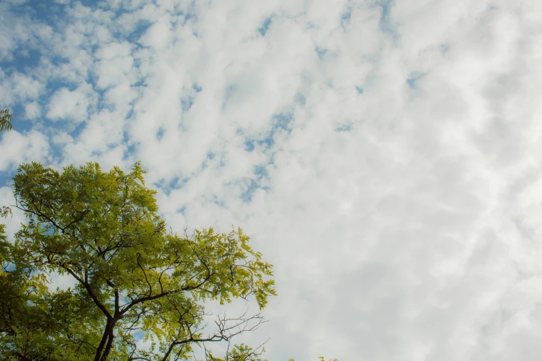 the sky is full of a few clouds in this view