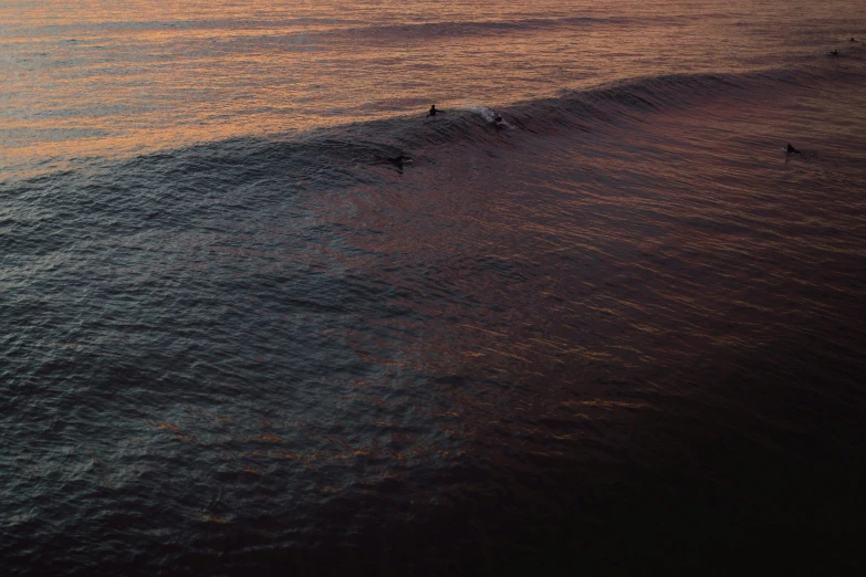 the surfboarders ride the ocean wave in the sunset