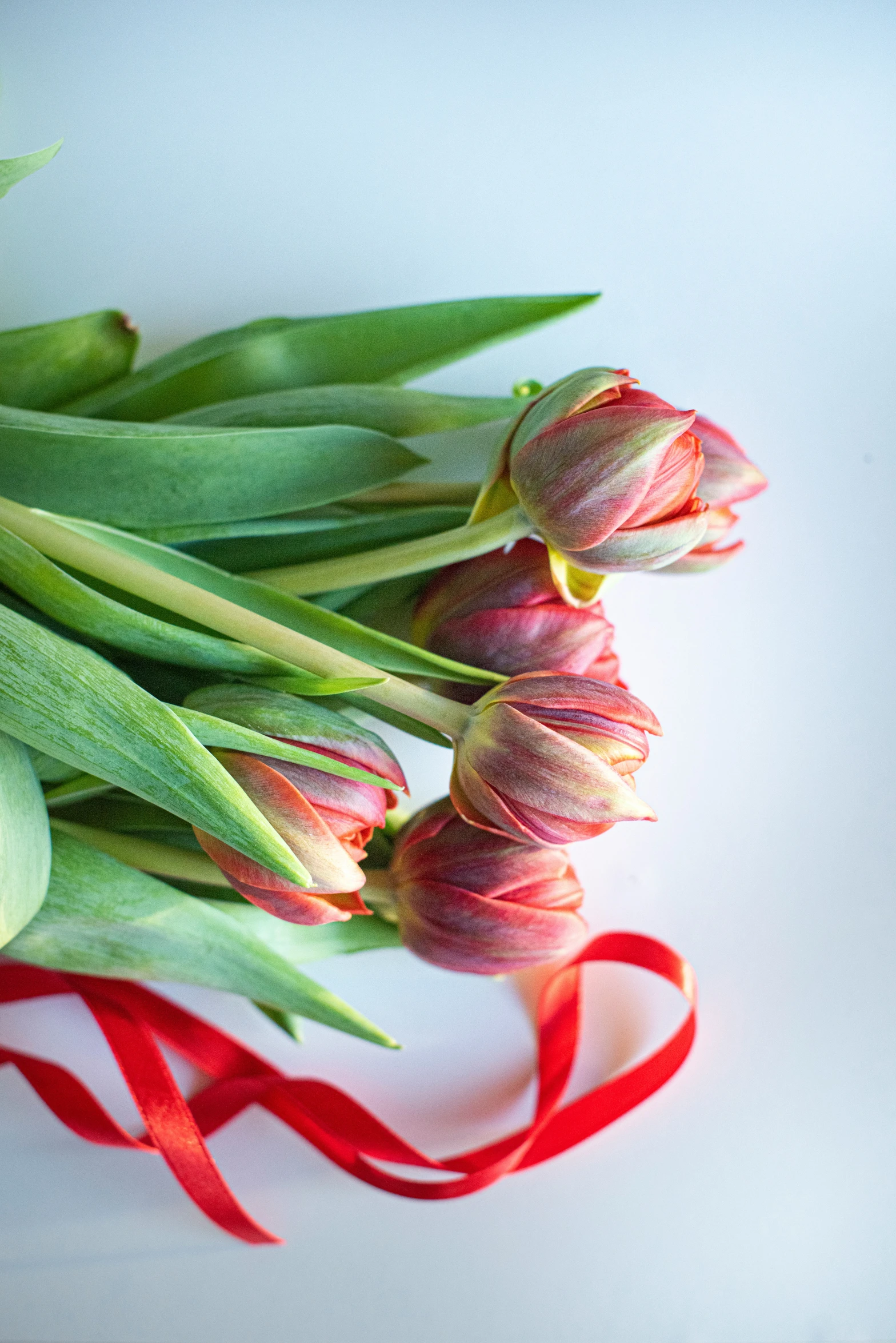 some pretty flowers with long stems on a table